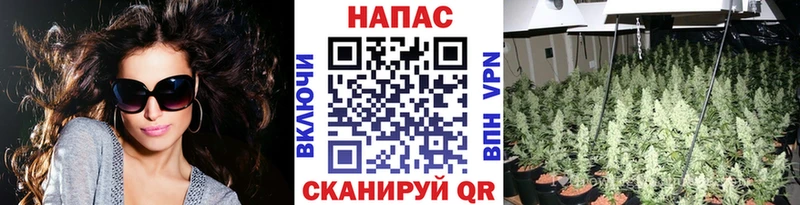 Сколько стоит Гатчина АМФ ОМГ ОМГ ССЫЛКА Меф МАРИХУАНА ГЕРОИН ГАШИШ КОКАИН