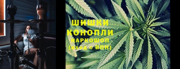 сатива Сосновый Бор