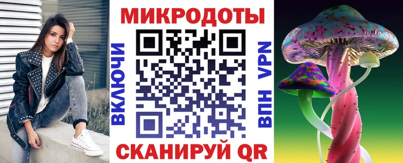 Галлюциногенные грибы Psilocybine cubensis  Гатчина 